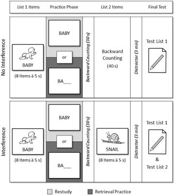 Retrieval Practice Fails to Insulate Episodic Memories against Interference after Stroke